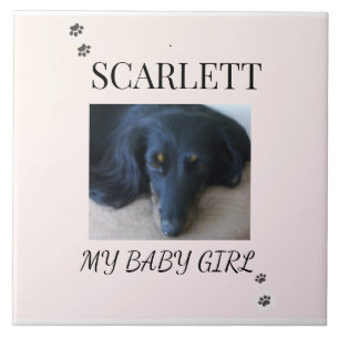 Azulejo Rubor Mínimo Mascota 1 Foto con Huellas de Patas