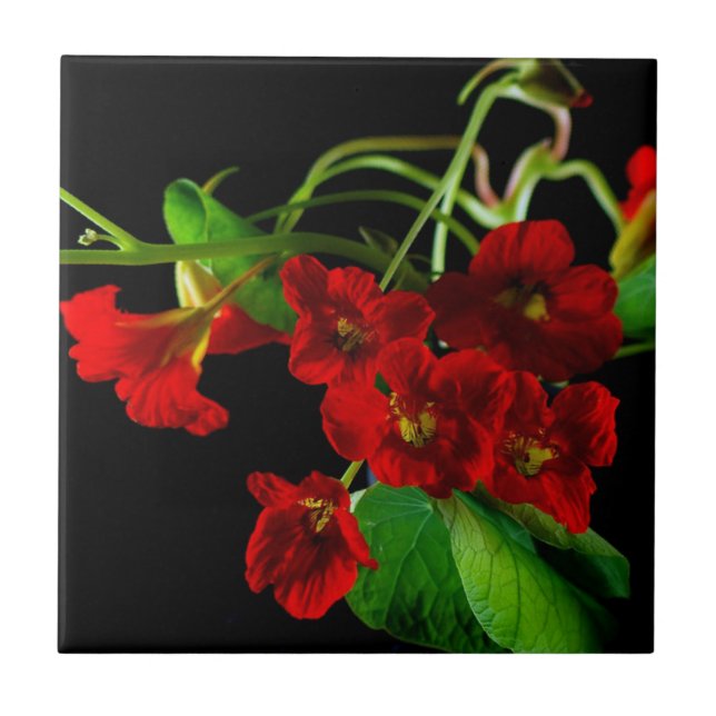Azulejo Ruby Red Nasturtium (Frente)