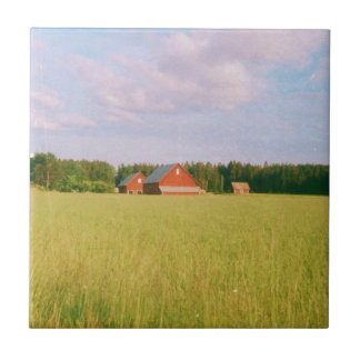 Azulejo Rustic summer field, Helsingia, Sweden