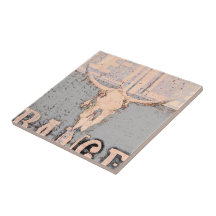 Rústica gris del cráneo del toro occidental vintag