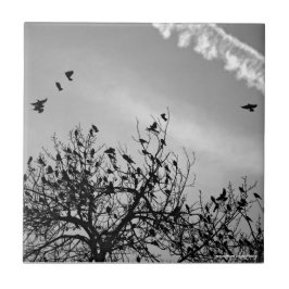 Azulejo Ruta de vuelo