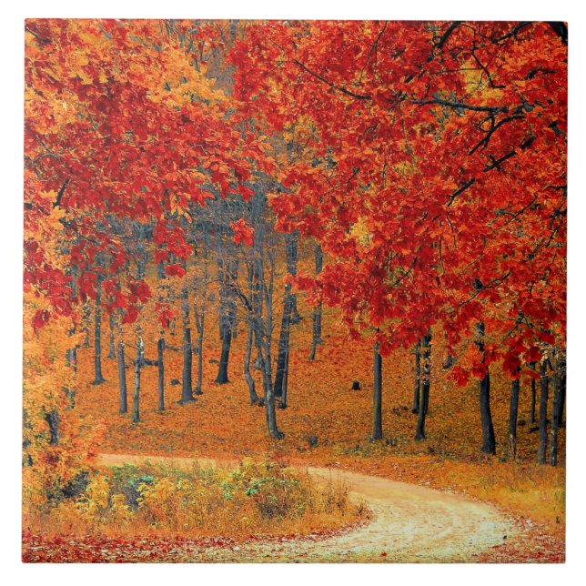 Azulejo Ruta en el bosque, otoño (Frente)