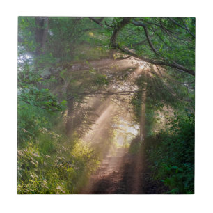 Azulejo Ruta forestal