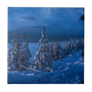 Azulejo Ruta forestal en la noche de invierno