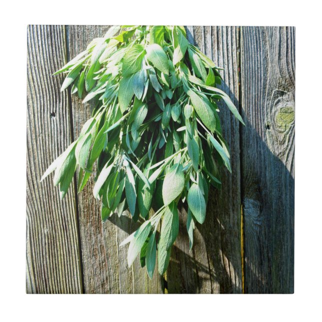 Azulejo Sage Barn-wood de corte fresco (Frente)