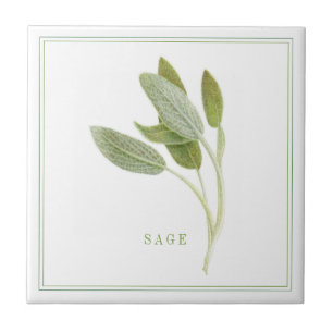 Azulejo SAGE FRESCO 4.25x4.25 Tejido cerámico (+texto)