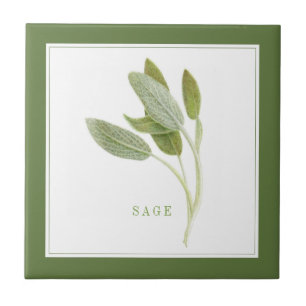 Azulejo SAGE FRESCO 4.25x4.25 Tejido cerámico (+texto) Ver