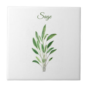 Azulejo Sage Herb Greenery Kitchen Rústica Verde Culinaria