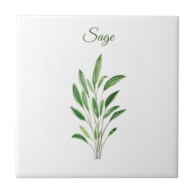 Azulejo Sage Herb Greenery Kitchen Rústica Verde Culinaria (Frente)