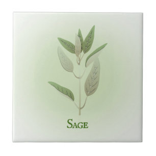 Azulejo Sage Herbal Design Ceramic Tile