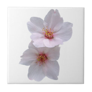 Azulejo Sakura