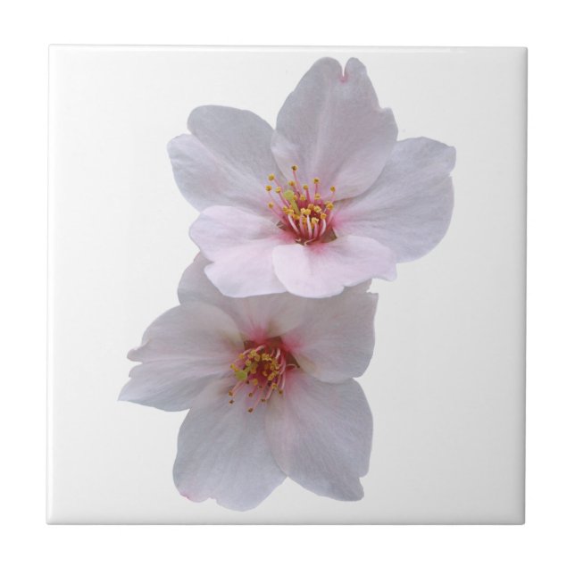 Azulejo Sakura (Frente)
