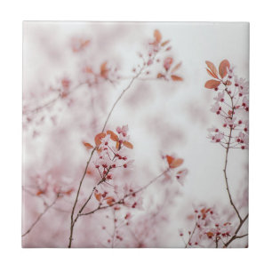 Azulejo Sakuras abstractas suaves, foto estética