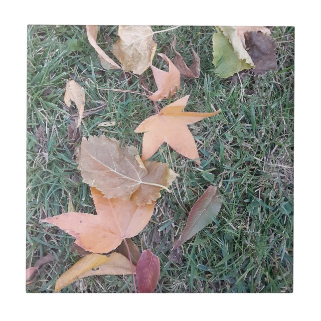 Azulejo Sale de mosaico cerámico (Frente)