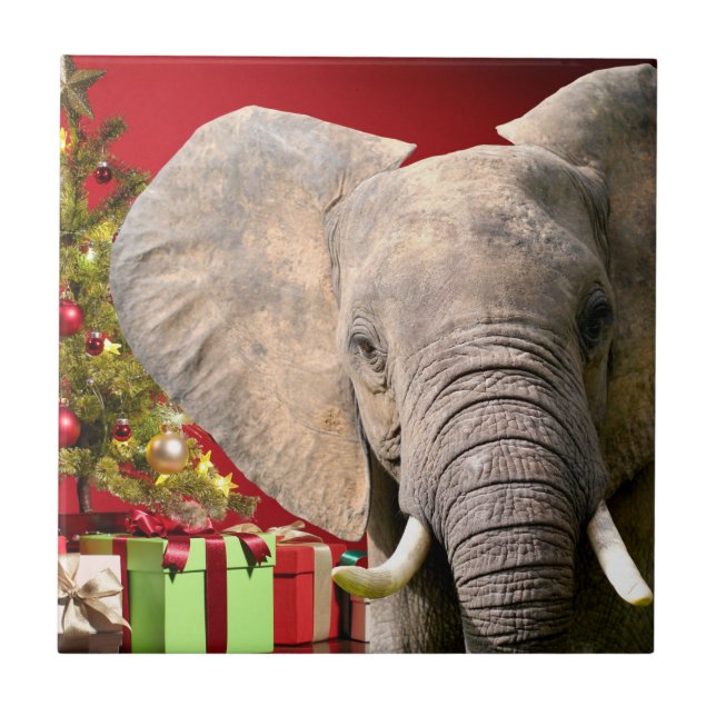 Azulejo Saludos de Navidad del elefante (Frente)