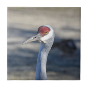 Azulejo Sandhill Crane