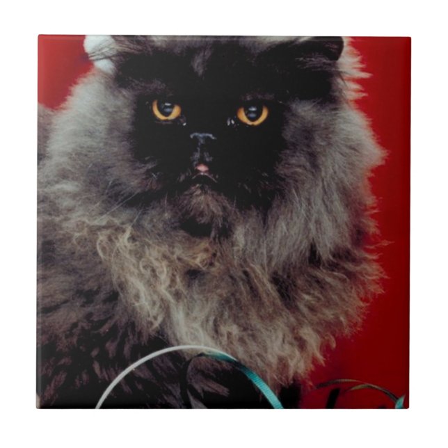 Azulejo Santa Gato (Frente)