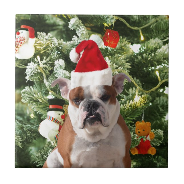 Azulejo Santa Hat Bulldog Árbol de Navidad Snowman Gift Bo (Frente)