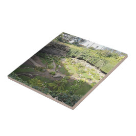 Azulejo Santuario oculto Umpherston Sinkhole