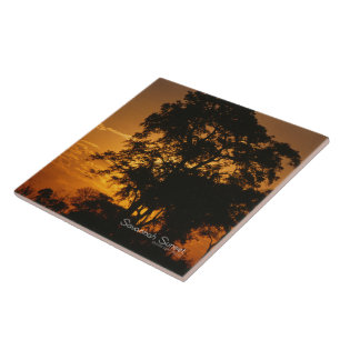 Azulejo Savannah Sunset