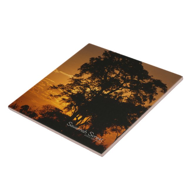 Azulejo Savannah Sunset (Lado)