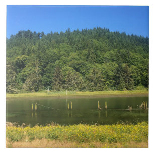 Azulejo Scholfield Creek, Reedsport, Oregón