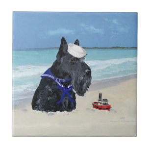 Azulejo Scottie en la Playa
