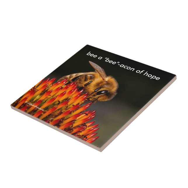 Azulejo Sé un abejorro de esperanza en Echinacea (Lado)