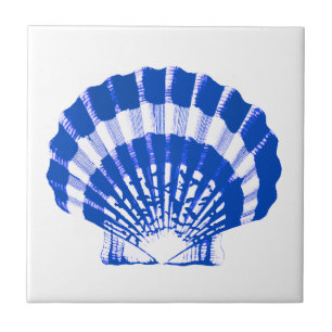 Azulejo Seashell - azul y blanco de cobalto