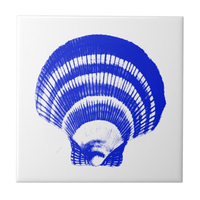 Azulejo Seashell - azul y blanco de cobalto (Frente)