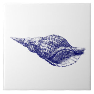 Azulejo Seashell Charonia Tritonis Blue & White