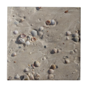 Azulejo Seashells en la arena mojada