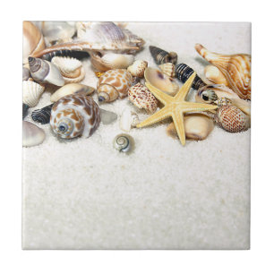 Azulejo Seashells Tile