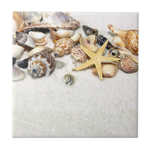 Azulejo Seashells Tile (Frente)