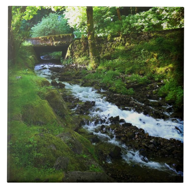 Azulejo Segunda vuelta de las cataratas Wahkeena, OR (Frente)