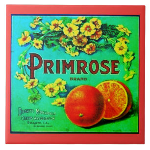 Azulejo Sello de empresa de frutas de naranjas de época