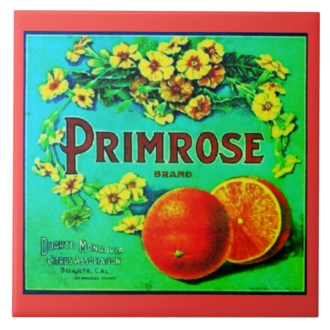 Azulejo Sello de empresa de frutas de naranjas de época (Frente)