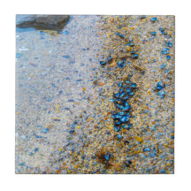 Sellos de mejillones en Maine