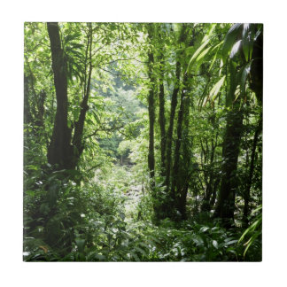 Azulejo Selva tropical II dominicana de lluvia verde tropi