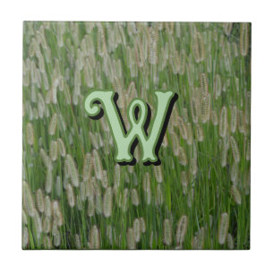 Azulejo Semillas de gramíneas verdes altas