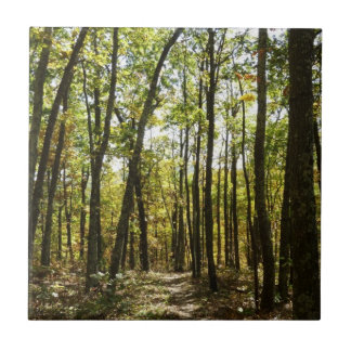 Azulejo Sendero Apalache en octubre en Shenandoah