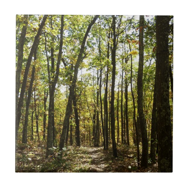 Azulejo Sendero Apalache en octubre en Shenandoah (Frente)