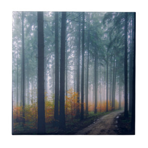 Azulejo Sendero majestuoso de árboles forestales