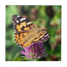 Señora pintada Butterfly Ceramic Photo Tile