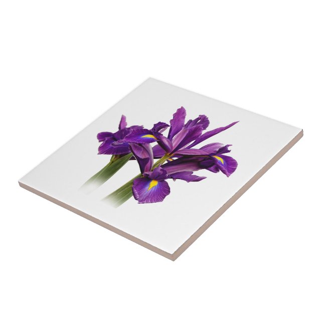 Azulejo Sensación Elegante Holandesa Iris Purple (Lado)