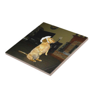 Azulejo Sentando Bonito Dachshund Tile