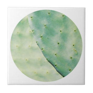 Azulejo Sentimiento orgánico de cactus verde pálido