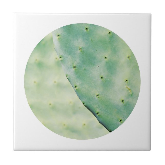 Azulejo Sentimiento orgánico de cactus verde pálido (Frente)