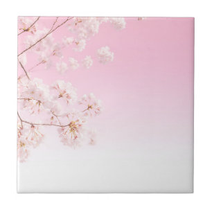 Azulejo Serenidad de primavera de flor de cerezo rosa