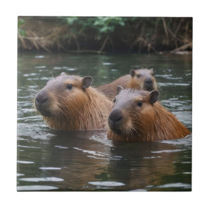 Azulejo "Serenidad fluvial: Capybaras nadando en el caudal